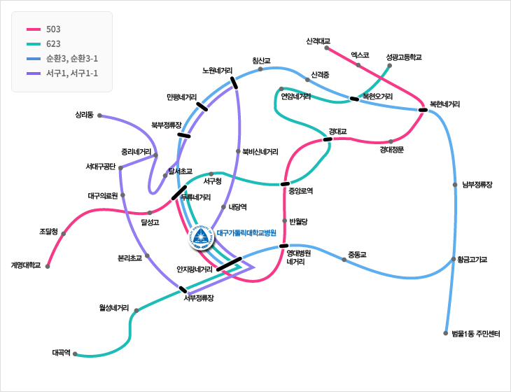 빨강색선(503) : 계명대학교-조달청-달성고-두류네거리-대구가톨릭대학교병원-안지랑네거리-영대병원네거리-반월당-중앙로역-경대교-경대정문-복현네거리-엑스코-산격대교, 연두색선(623) : 대곡역-월성네거리-서부정류장-대구가톨릭대학교병원-두류네거리-서구청-중앙로역-경대교-연암네거리-복현오거리-성광고등학교, 하늘색선(순환3, 순환3-1) : 범물1동 주민센터-황금고가교-남부정류장-복현네거리-복현오거리-산격중-침산교-노원네거리-만평네거리-북부정류장-대구가톨릭대학교병원-영대병원네거리-중동교, 보라색선(서구1, 서구1-1) : 상리동-중리네거리-달서초교-만평네거리-노원네거리-북비산네거리-내당역-대구가톨릭대학교병원-서부정류장-본리초교-대구의료원-서대구공단 노선안내